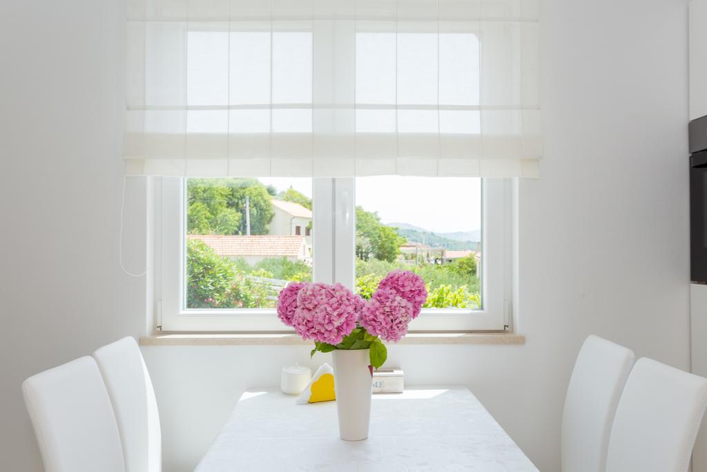 Apartment & Room Ladisic Orašac Zewnętrze zdjęcie